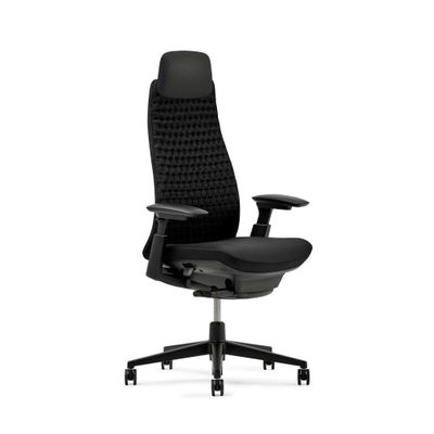 Haworth Fern Executive Office Chair with Ergonomic Innovations - Stylish Desk Chair with Digital Knit Finish and Adjustable Headrest - with Lumbar Support (Charcoal Black)