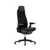 Haworth Fern Executive Office Chair with Ergonomic Innovations - Stylish Desk Chair with Digital Knit Finish and Adjustable Headrest - with Lumbar Support (Charcoal Black) view 1