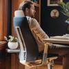 Haworth Fern Executive Office Chair with Ergonomic Innovations - Stylish Desk Chair with Digital Knit Finish and Adjustable Headrest - with Lumbar Support (Charcoal Black) view 2