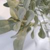 ALOEU Faux Lambs Ear Stems 5Pcs Flocked Artificial Greenery Solid Spray Rabbit Ear Leaves for Home Wedding DIY Craft view 3
