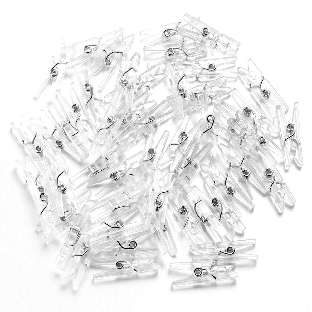 HomeLoft Basics Mini Clear Photo Clips, Mini Transparent Plastic Clips Mini Clothespins Binder Clips Clothes Line Clips for Hanging String Fairy Lights Picture(2.5cm 100pcs)
