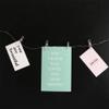 HomeLoft Basics Mini Clear Photo Clips, Mini Transparent Plastic Clips Mini Clothespins Binder Clips Clothes Line Clips for Hanging String Fairy Lights Picture(2.5cm 100pcs) view 3