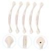 Ciieeo 5pcs Zinc Alloy Cabinet Handle Elegant Ivory White Drawer Pulls for Kitchen and Wardrobe Hole Spacing Easy to Install Furniture Hardware view 3