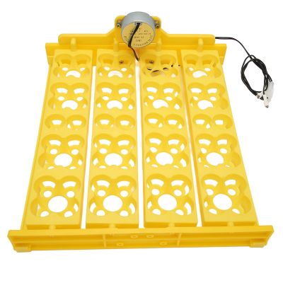 Chicken Coop Egg Tray, Egg Turning Tray Multifunction Automatic Egg Turner Incubator Tray for 16 Duck Eggs 16 Eggs 72 Quail Eggs Incubation(AC110V)