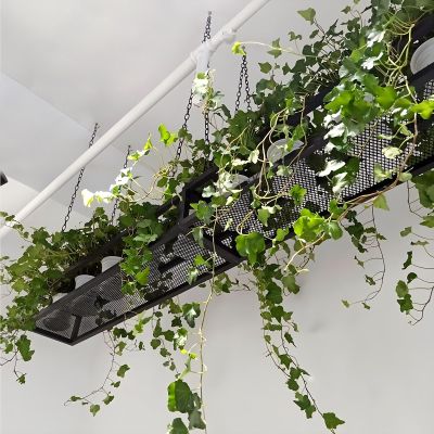 Yopappol Ceiling Mounted Shelf, Hanging Plant Shelves Flower Stand, Metal Iron Wine Bottle Holder, Wall Mounted Storage Rack for Restaurant, Bar, Kitchen Decorate (Size : 60x25x15cm)