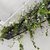 Yopappol Ceiling Mounted Shelf, Hanging Plant Shelves Flower Stand, Metal Iron Wine Bottle Holder, Wall Mounted Storage Rack for Restaurant, Bar, Kitchen Decorate (Size : 60x25x15cm) view 1