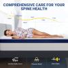 Avenco 10 Inch Twin Mattress in a Box, Hybrid Mattresses for Pain Relief & Motion Isolation, CertiPUR-US Certified view 4