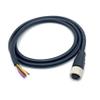 FOWIUNYE M12 12 Pin Female Connector Cable, A Code Straight Aviation Plug Electrical Cable PVC Industrial Molded Unshielded Cable AWG262Meter view 2