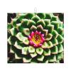 Blooming Cactus Flower Exquisite Easy-Clean Microfiber Dish Mat,Perfect For Draining And Drying All Your Kitchenware view 1