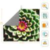 Blooming Cactus Flower Exquisite Easy-Clean Microfiber Dish Mat,Perfect For Draining And Drying All Your Kitchenware view 3