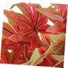 LIFKOME 3pcs Artificial Fall Maple Leaves Branches for Thanksgiving Decor Autumn Centerpieces for Home Kitchen and Party Arrangements Leaves for Floral Arrangements view 2