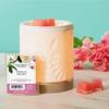 Maclock Better Homes and Gardens Scented Wax Cubes 2.5oz 2-Pack (Vanilla Orchid), Neutral, BG154 view 2
