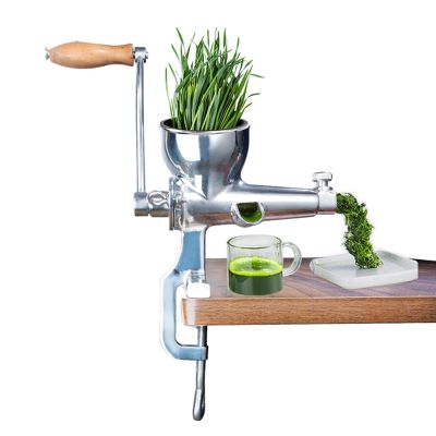 Asixxsix Manual Wheatgrass Juicer, Stainless Steel Manual Juicer Fruit Vegetables Squeezer Tabletop Clamp Manual Juicer Extractor for Ginger Celery Grape, Wheatgrass Grinder