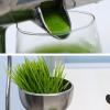 Asixxsix Manual Wheatgrass Juicer, Stainless Steel Manual Juicer Fruit Vegetables Squeezer Tabletop Clamp Manual Juicer Extractor for Ginger Celery Grape, Wheatgrass Grinder view 4
