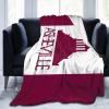 City of Asheville North Carolina Flag Throw Blanket for Couch Bed Sofa Blankets Super Soft Warm Cozy 40"x30" Flannel Throw Blanket view 2