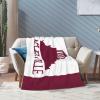 City of Asheville North Carolina Flag Throw Blanket for Couch Bed Sofa Blankets Super Soft Warm Cozy 40"x30" Flannel Throw Blanket view 3