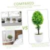 Cabilock 3pcs Synthetic Bonsai Tree Faux Bonsai Home Decor Plant Easy Maintenance Artificial Decor view 2