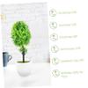 Cabilock 3pcs Synthetic Bonsai Tree Faux Bonsai Home Decor Plant Easy Maintenance Artificial Decor view 3