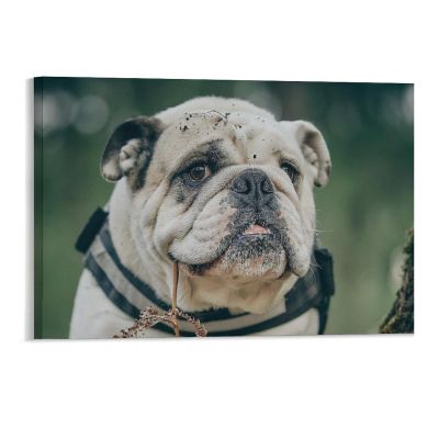 11"x17" Canvas Wall Art, Bulldog Dog Portrait English Picture Prints, Rustic Modern Wall Decor Artwork, Farmhouse Kitchen Canvas Painting, Home Office Decor Art Print