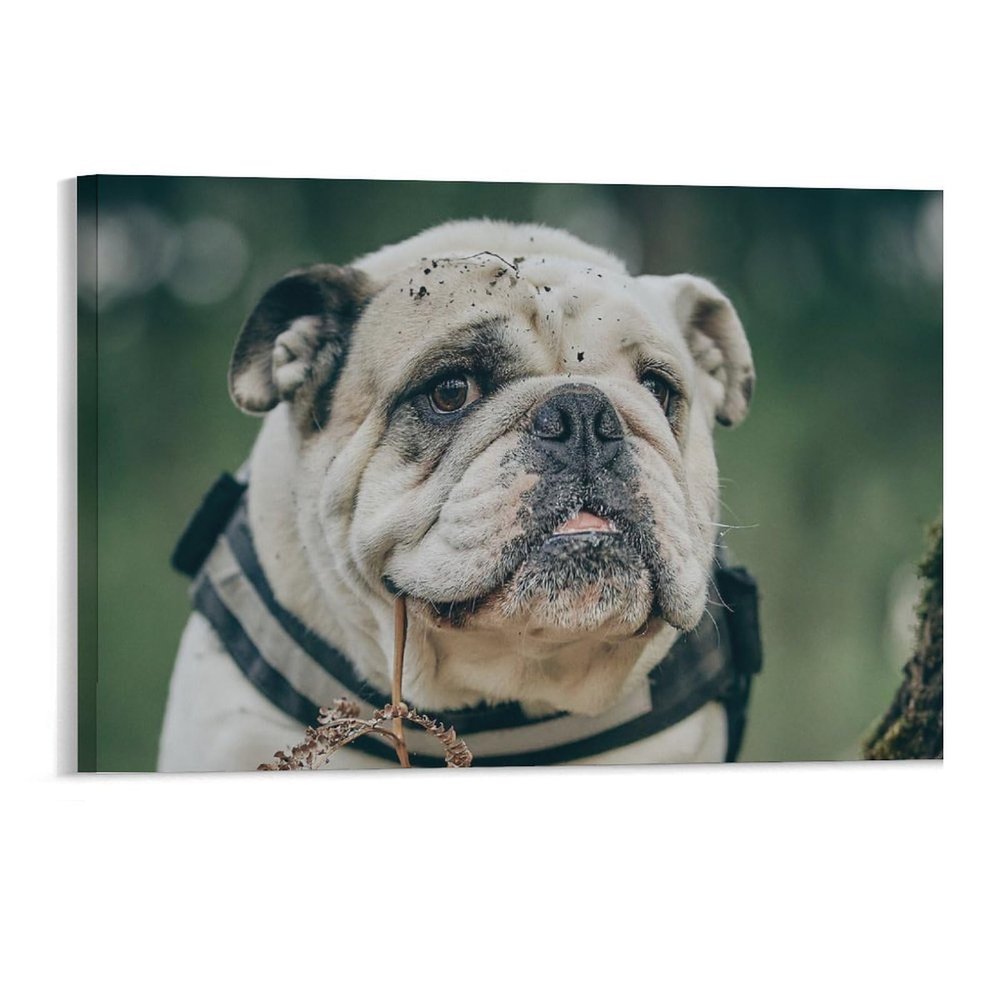 11"x17" Canvas Wall Art, Bulldog Dog Portrait English Picture Prints, Rustic Modern Wall Decor Artwork, Farmhouse Kitchen Canvas Painting, Home Office Decor Art Print