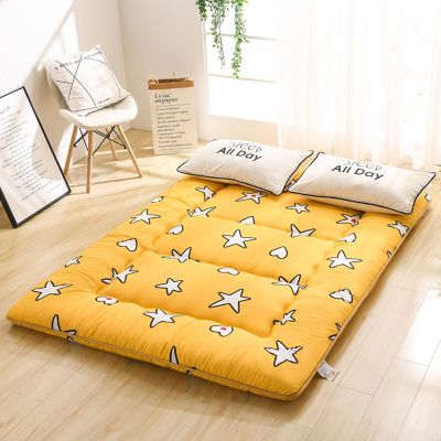 10cm Thick Portable Camping Mattress Foldable Roll Up Floor Lounger Couch Bed Double Sleeping Mat Soft Futon Mattress Tatami Floor Mat for Back Pain Relief ( Color : E , Size : 90 x 200 cm (35 x 79 in