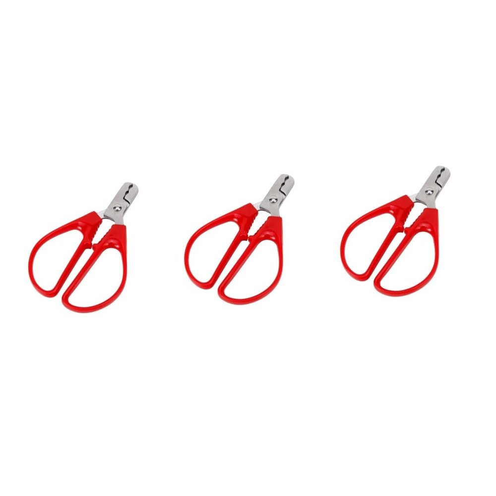 Cabilock 3pcs Stainless Steel Nuts Peeler Melon Plier Peanut Opener for Elderly