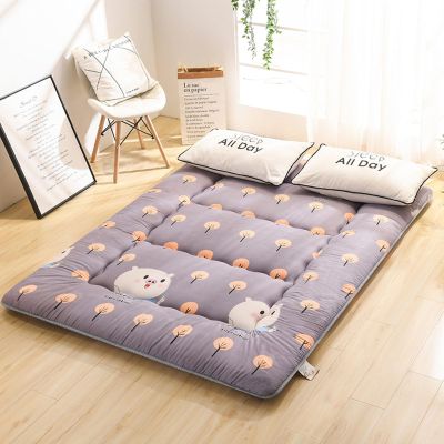 10cm Thick Portable Camping Mattress Foldable Roll Up Floor Lounger Couch Bed Double Sleeping Mat Soft Futon Mattress Tatami Floor Mat for Back Pain Relief ( Color : A , Size : 90 x 190 cm (35 x 75 in