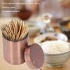 Metal Toothpicks for Teeth, Toothpick Holder Toothpick Dispenser Toothpick Case Toothpick Holder Dispenser Toothpick Holders Decorative Round Toothpicks Box for Families Houses(C) view 2