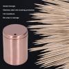 Metal Toothpicks for Teeth, Toothpick Holder Toothpick Dispenser Toothpick Case Toothpick Holder Dispenser Toothpick Holders Decorative Round Toothpicks Box for Families Houses(C) view 3