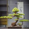 Simulation Potted Plants Bonsai Tree Artificial Bonsai Tree Indoors Outdoor Artificial Bonsai Pine Tree Faux Potted Plants House Plants for Bathroom Home Kitchen Office Feng Shui Decor Fake Plant Gree view 2