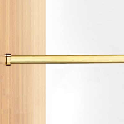 Clothes Hanging Rod Clothing Store/Hotel Hanging Rod for Closet Wardrobe, Metal Clothes Support Hanger Bar/Oval Cabinets Organizer Pole Includes Flange End Caps, Gold Black White Grey (Color : Ligjt