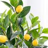 Roedax Artificial Tree Lemon Tree Artificial Trees Realistic Fake Tree Potted Indoor Artificial Plant Decorative Faux Plant with Solid Wood Trunk Beautiful view 4