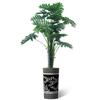 Artificial Tree in Elegant Black Floral Planter, Fake Philodendron Tree Silk Tree for Indoor and Outdoor Home Decoration - 70" Overall Tall (Plant Pot Plus Tree) view 2