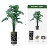 Artificial Tree in Elegant Black Floral Planter, Fake Philodendron Tree Silk Tree for Indoor and Outdoor Home Decoration - 70" Overall Tall (Plant Pot Plus Tree) view 3