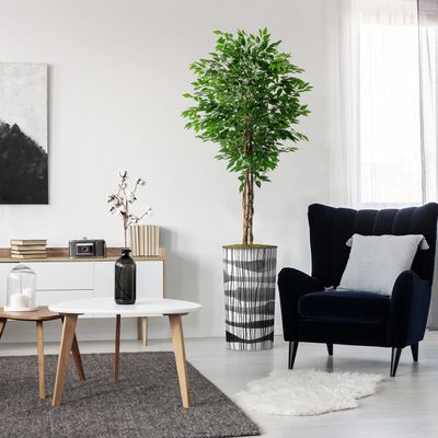 Artificial Tree in Black and White Vertical Stripe Planter, Fake Ficus Silk Tree for Indoor and Outdoor Home Decoration - 75" Overall Tall (Plant Pot Plus Tree)
