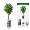 Artificial Tree in Black and White Vertical Stripe Planter, Fake Ficus Silk Tree for Indoor and Outdoor Home Decoration - 75" Overall Tall (Plant Pot Plus Tree) view 3