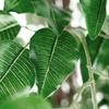 Artificial Tree in Black and White Vertical Stripe Planter, Fake Ficus Silk Tree for Indoor and Outdoor Home Decoration - 75" Overall Tall (Plant Pot Plus Tree) view 4