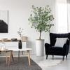 Artificial Tree in Modern Minimalist White Textured Planter, Fake Eucalyptus Silk Tree for Indoor and Outdoor Home Decoration - 66" Overall Tall (Plant Pot Plus Tree) view 1