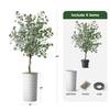 Artificial Tree in Modern Minimalist White Textured Planter, Fake Eucalyptus Silk Tree for Indoor and Outdoor Home Decoration - 66" Overall Tall (Plant Pot Plus Tree) view 3