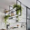 Yopappol Ceiling Mount Shelf, 2 Tier Hanging Storage Rack, Metal & Acrylic Floating Wall Shelves Plant Stand Pot Pan Organizer for Restaurant Kitchen Flower Shop (Size : 60x30x80cm) view 1