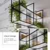 Yopappol Ceiling Mount Shelf, 2 Tier Hanging Storage Rack, Metal & Acrylic Floating Wall Shelves Plant Stand Pot Pan Organizer for Restaurant Kitchen Flower Shop (Size : 60x30x80cm) view 4