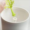 BNVXR Fashion Cute Toothpick Holder Plastic Toothpick Dispenser White Cotton Swab Container Box Toothpick Dispenser Chic view 4