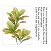 10pcs Artificial Plants Fake Plants Greenery Shrub Bushes UV Resistant Plants Plastic Wheat Grass for Indoor Outdoor Home Garden Decoration,Climbing Tiger-1 view 4