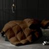 AveHomes 1pcs Cotton Comforter Box Stitched Queen (88'' x 92'') Brown Comforter All Season Lightweight Quilted with Corner Tabs, Winter Warm Fluffy view 2