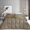 AveHomes 1pcs Cotton Comforter Box Stitched Twin-XL (68'' x 90'') Taupe Comforter All Season Lightweight Quilted with Corner Tabs, Winter Warm Fluffy view 1