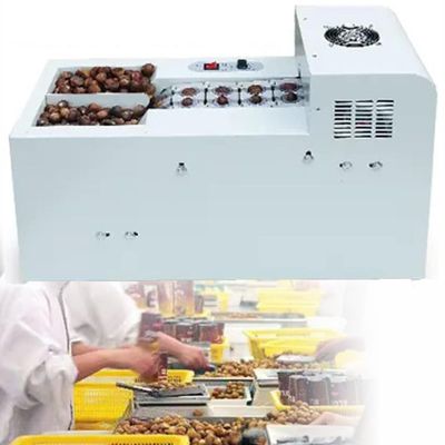 Automatic Chestnut Cutting Machine,Commercial Chestnut Shelling and Opening Machine, Electric Chestnut Cracker Machine, High Efficiency and Easy to Use Suitable for Many Sizes(Doublechainplate)