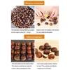 Automatic Chestnut Opener, 15-25kg/hour Commercial Chestnut Masher Machine, 60W Commercial Stainless Steel Cutter, Chestnut Shelling Machine for Many Sizes of Chestnuts view 3