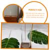 Glass Incense Burner Holder with Removable , 26.3x8.5x8.5cm view 4