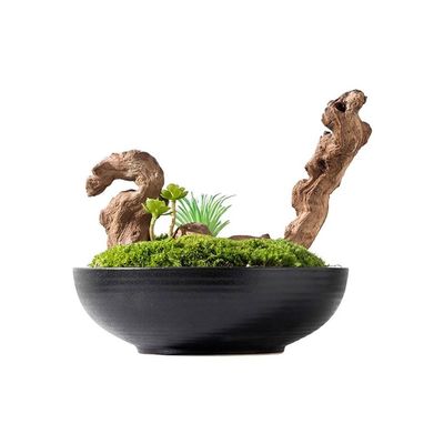 FRANCES Fake Plants Zen Cinese Imitazione Muschio Verde Vaso Per Piante Decorazione Decorazione Tavolo Da Negoziazione Decorazione Paesaggio Decorazione Simulation Bonsai Tree