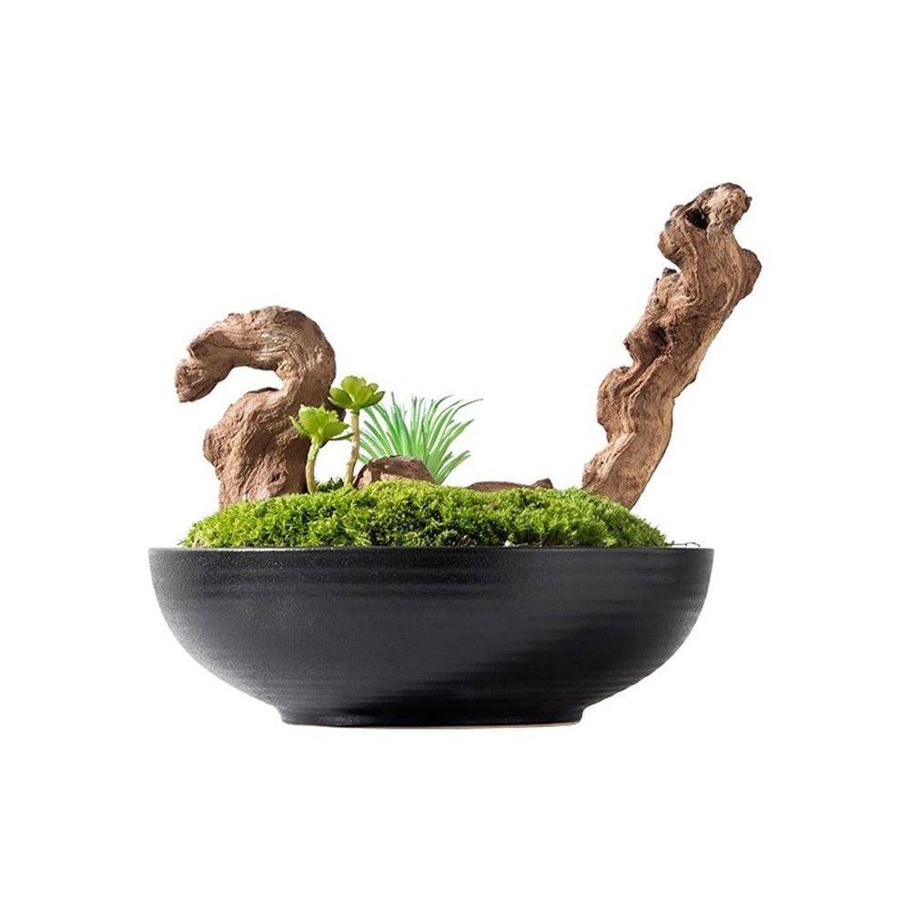 FRANCES Fake Plants Zen Cinese Imitazione Muschio Verde Vaso Per Piante Decorazione Decorazione Tavolo Da Negoziazione Decorazione Paesaggio Decorazione Simulation Bonsai Tree
